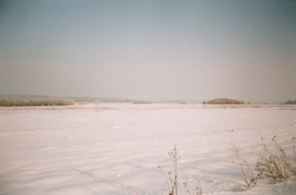 Зимняя фотография Домброва annop