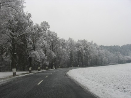 冬の道