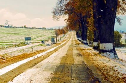 camino de invierno