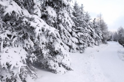paisagem de Inverno