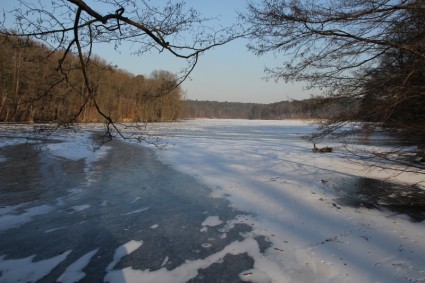 hiver voir glace