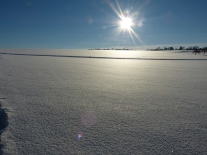 paysage de neige d'hiver