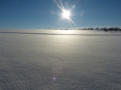 paysage de neige d'hiver