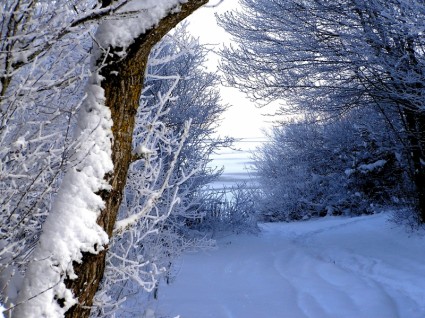sentier de neige d'hiver