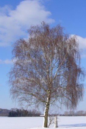 arbre de neige hiver
