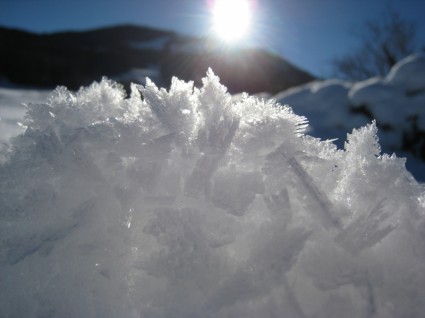 neige de soleil d'hiver