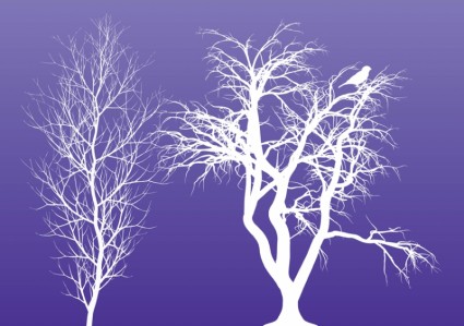 árvores de Inverno