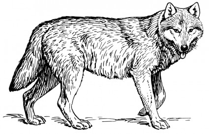 serigala