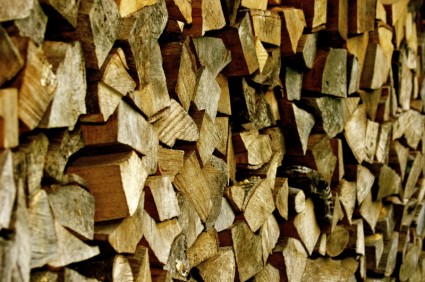 سجلات الغابات الخشبية