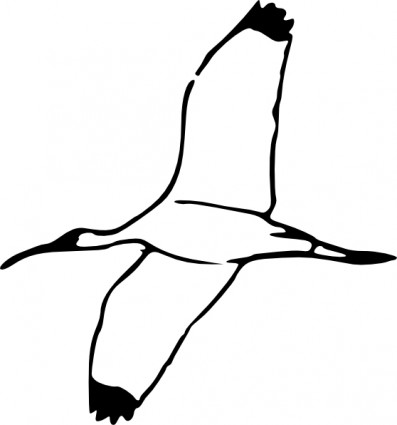 ibis kayu clip art