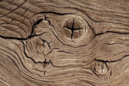 nodi di legno
