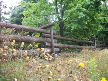 خشب السكك الحديدية السياج