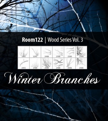 branches de bois série vol hiver