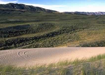 paysage de Wyoming scénique