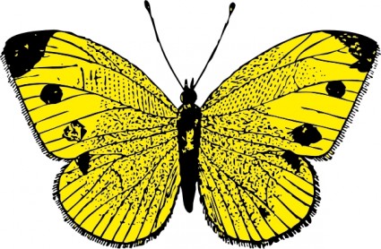 노란 나비 클립 아트