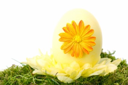 trứng Phục sinh màu vàng