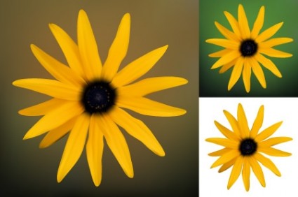 Gelbe Blume Vektor