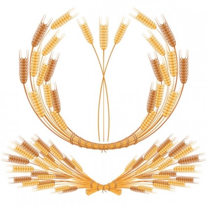 вектор желтой пшеницы