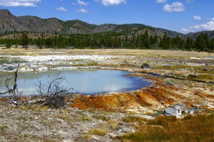 paisagem do Parque Nacional Yellowstone colorida
