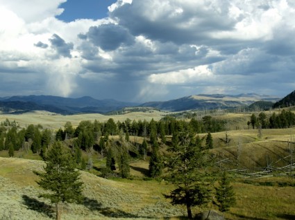 Yellowstone National Park Wyoming Usa