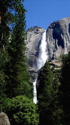 Yosemite falls trên amp thấp