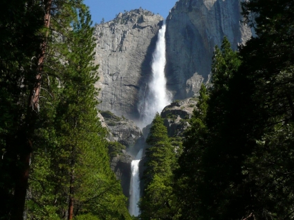 Yosemite Falls Wallpaper Waterfalls Nature