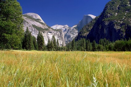 Yosemite national park pejzaż pole