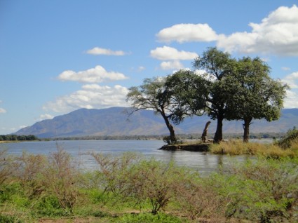 잠비아 풍경 산