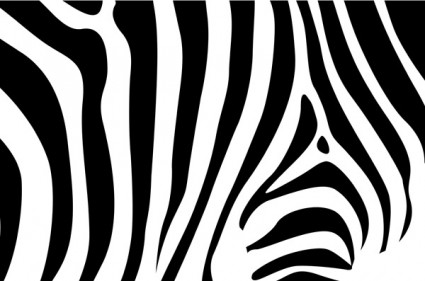 latar belakang Zebra