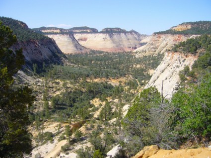 montagne canyon di Zion national park