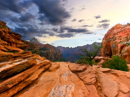natura paesaggio di Zion national park per il desktop