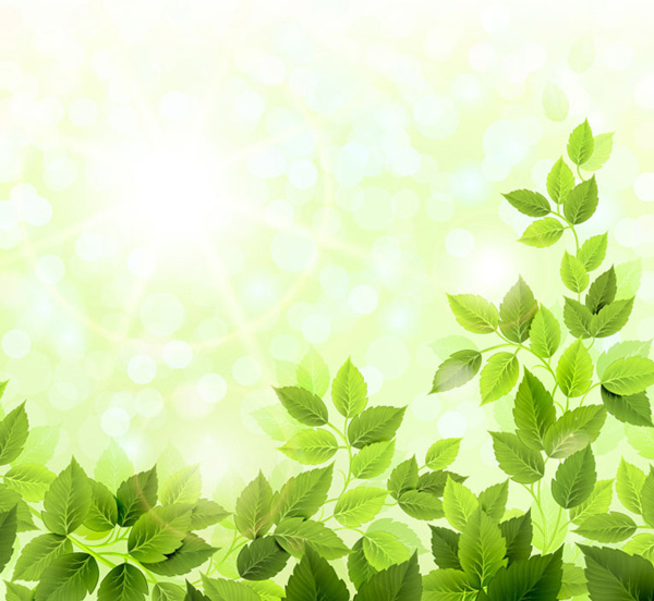 Beautiful Dream Green Leaf Background-vector Background-free Vector ...