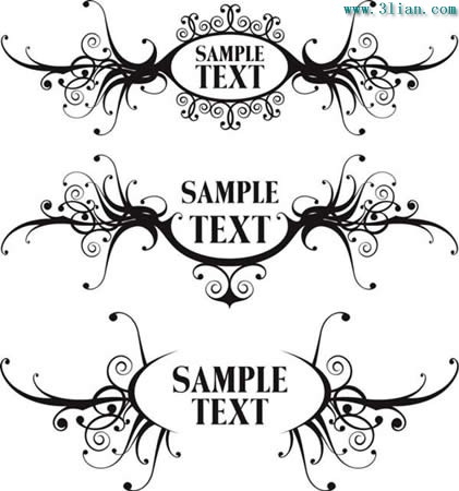 黑色和白色花边