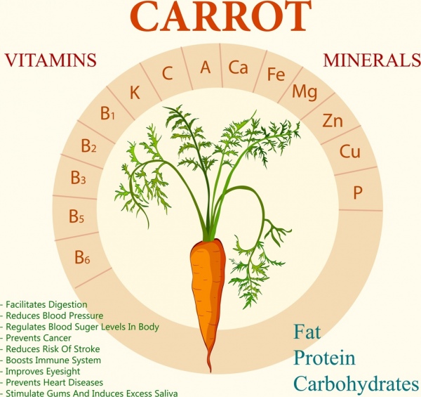 红萝卜的营养成分图片