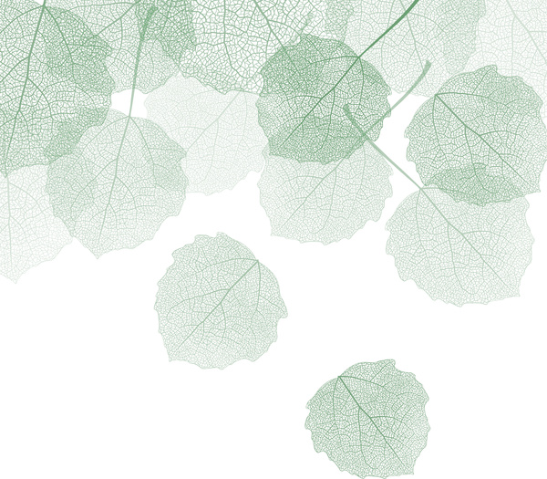Dry Leaf Background-vector Plant-free Vector Free Download