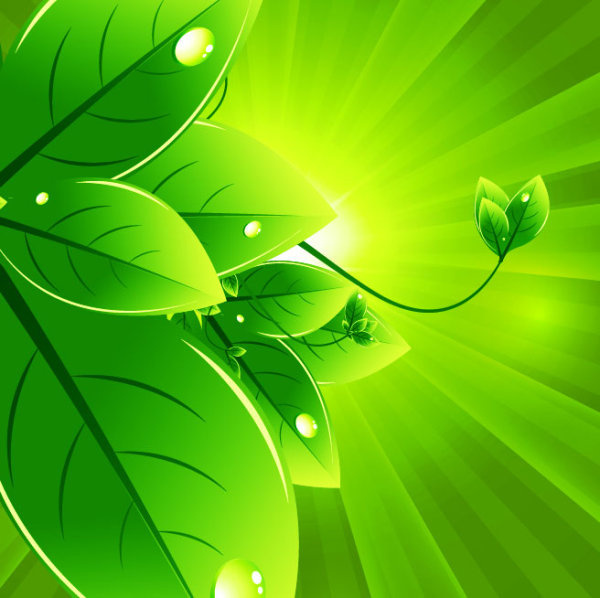 Set Of Eco Friendly With Green Leaves Background Vector-vector Background-free  Vector Free Download