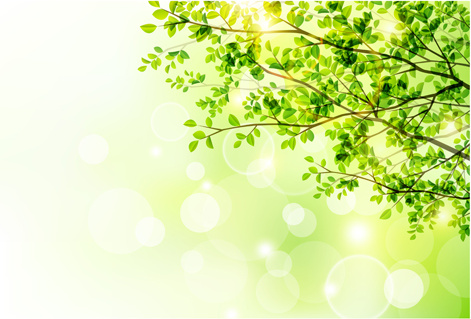 Sunlight With Green Tree Spring Background-vector Plant-free Vector Free  Download